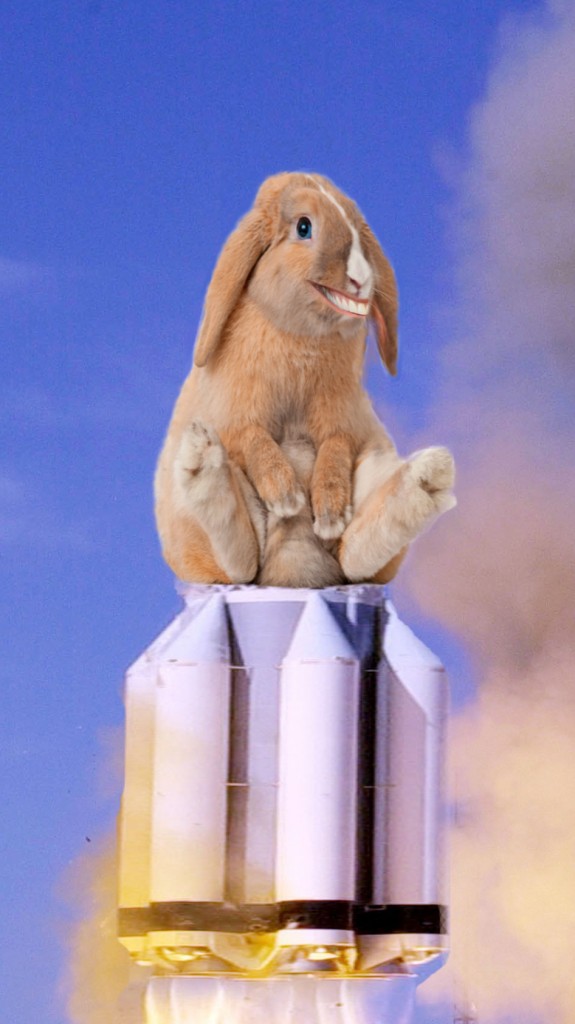 rabbitfuel